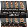 10er Pack Orion Pin-up Kalender Gallery Girls 2025 Erotikkalender