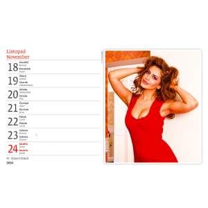 Kalender 2024 - Sexy Girls - Tischkalender -...